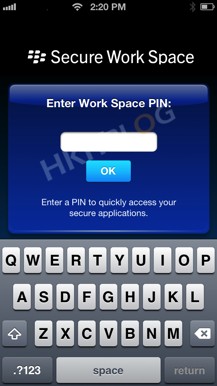 Secure_Work_Space_Enter_Work_Space_Pin_20130627