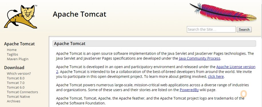 Tomcat 01