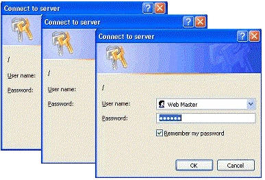 web form protection