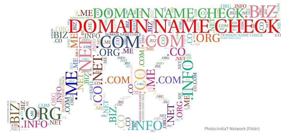 domain name_India7 Network